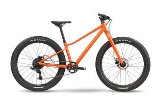 BMC-Blast
