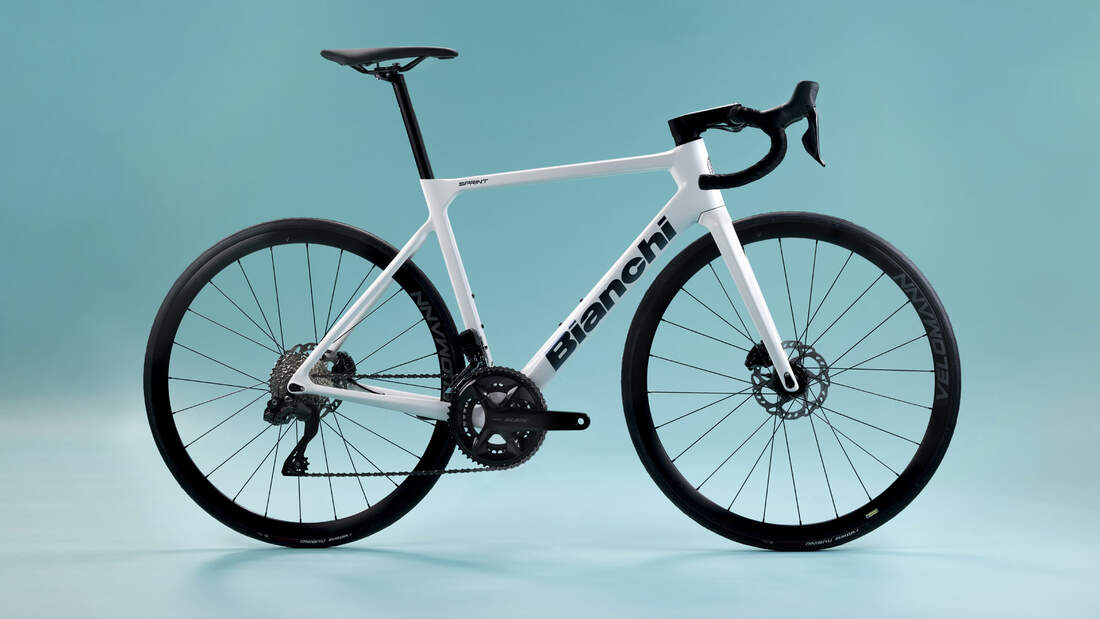 AMICI DI BICI