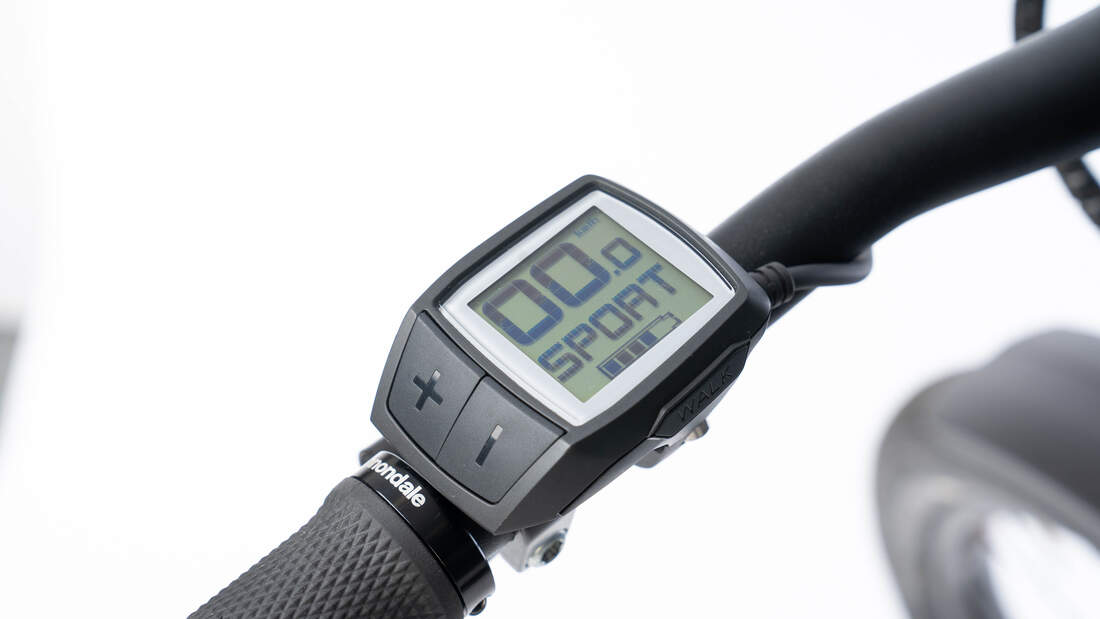 Cannondale Canvas Neo 1