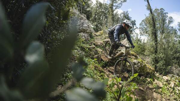 Canyon Torque:ON Modell 2023