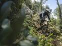 Canyon Torque:ON Modell 2023