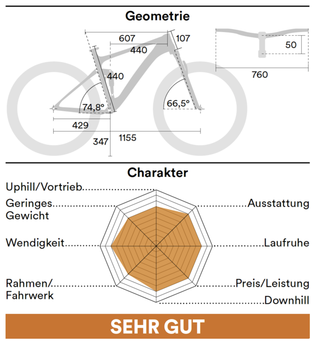 Charakter und Geometrie Downcountry Bikes Special 08/2021
