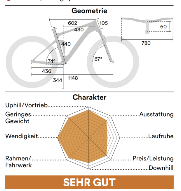 Charakter und Geometrie Downcountry Bikes Special 08/2021