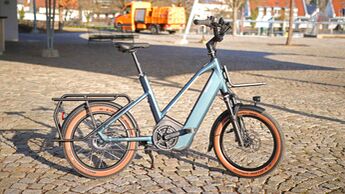City E-Bike Bergamont Hans-E N5E Belt Seitenansicht mit leicht eingeschlagenem Lenker