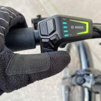 Detail Bosch Taster bei E-Trekkingrad Diamant Zing Gen 2