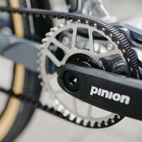 Detail Pinion Getriebe und Gates Zahnriemen beim E-Lastenrad Bullit ePinion