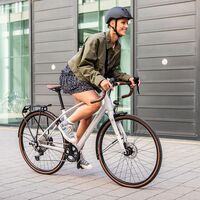 Diamant Rad,Gravelbike Nhoma Gen 2,Urban