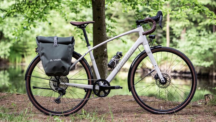 Diamant Rad,Gravelbike Nhoma Gen 2,weis,Seitenansicht vor Baum