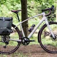 Diamant Rad,Gravelbike Nhoma Gen 2,weis,Seitenansicht vor Baum