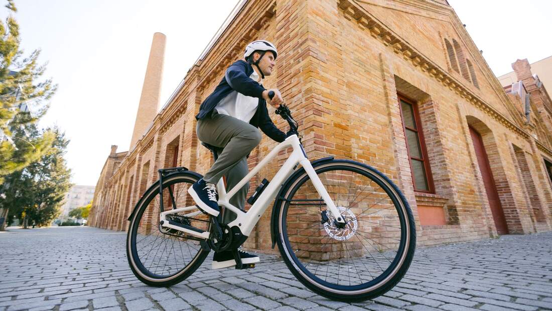 EBike Was bedeutet Newtonmeter, Drehmoment & Co.? bikex.de