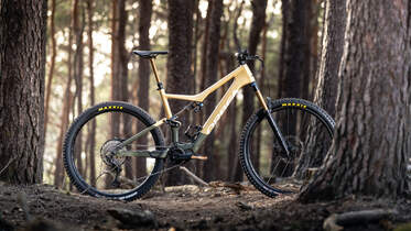 Einzeltest Orbea Rise M10