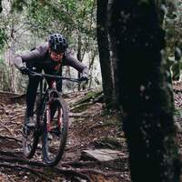 Fahrbild Wurzelpassage Specialized Epic World Cup