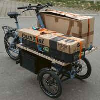 Flexibel nutzbare Ladefläche am Cargobike-Trike vom Hersteller CHIKE, auf dem Foto Pakete, die mit Spanngurten auf der Transportfläche befestigt sind