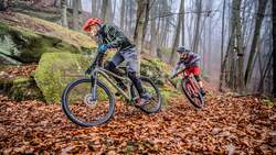 Hardtail-Test 2021
