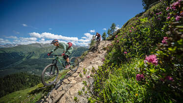 King of Trail in Davos