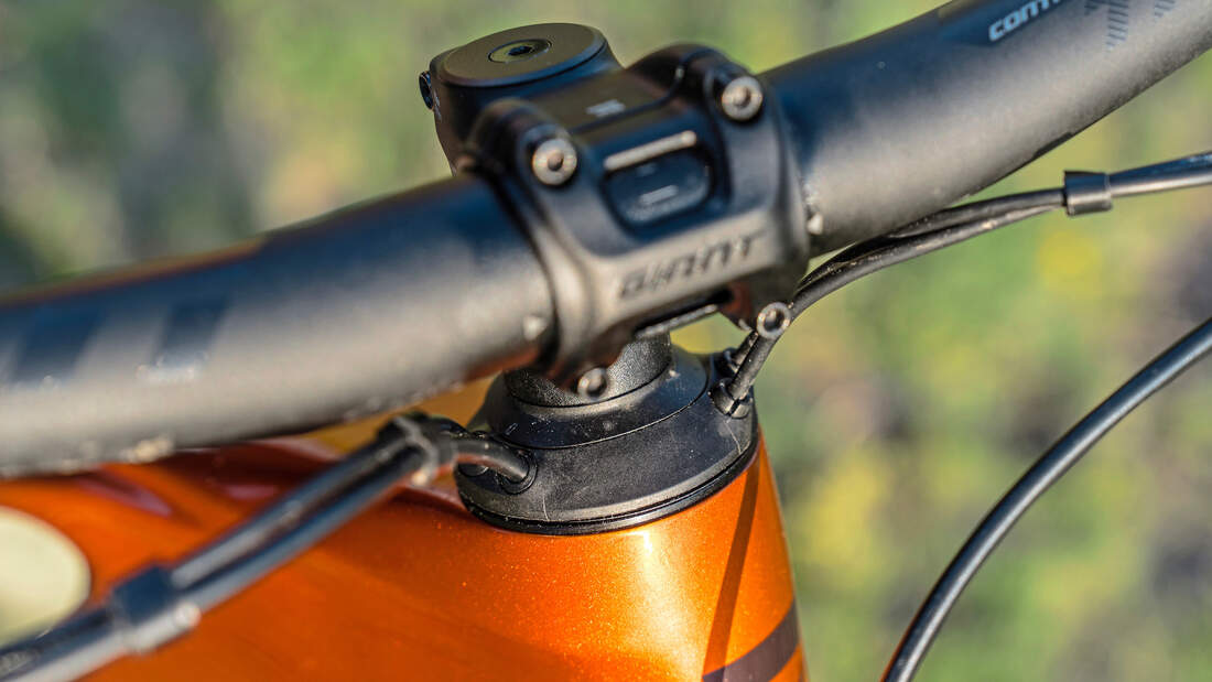 Light-E-MTBs