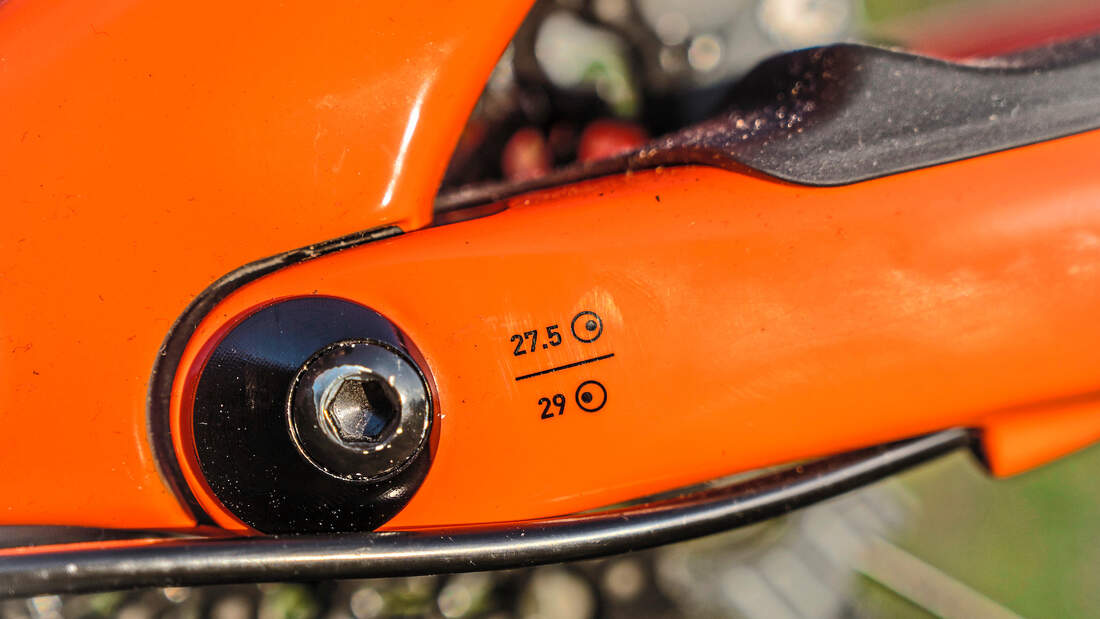 Light-E-MTBs