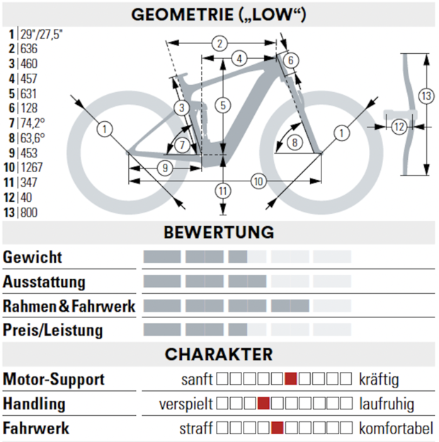 Light-E-MTBs