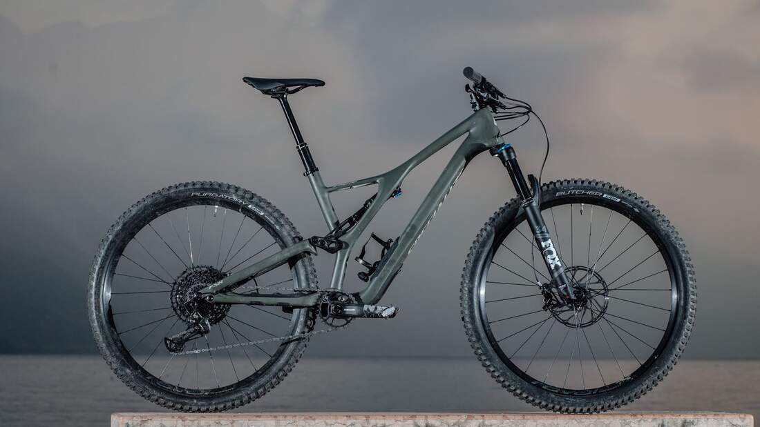 Stumpjumper discount st carbon