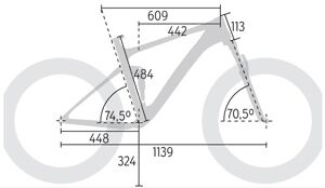MB-0614-Marathon-Fullys-Bike-Cube-AMS-100-Super-HPC-Race-29-Geometrie (jpg)