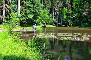 MB-0913-MTB-Eifel-5 (jpg)