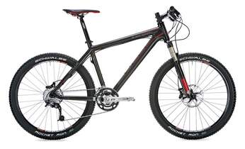 MB Bulls Black Adder 2