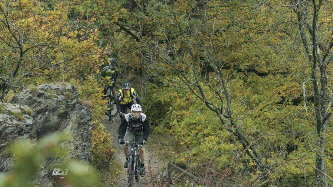 MB Eifel Zisterzienser Runde