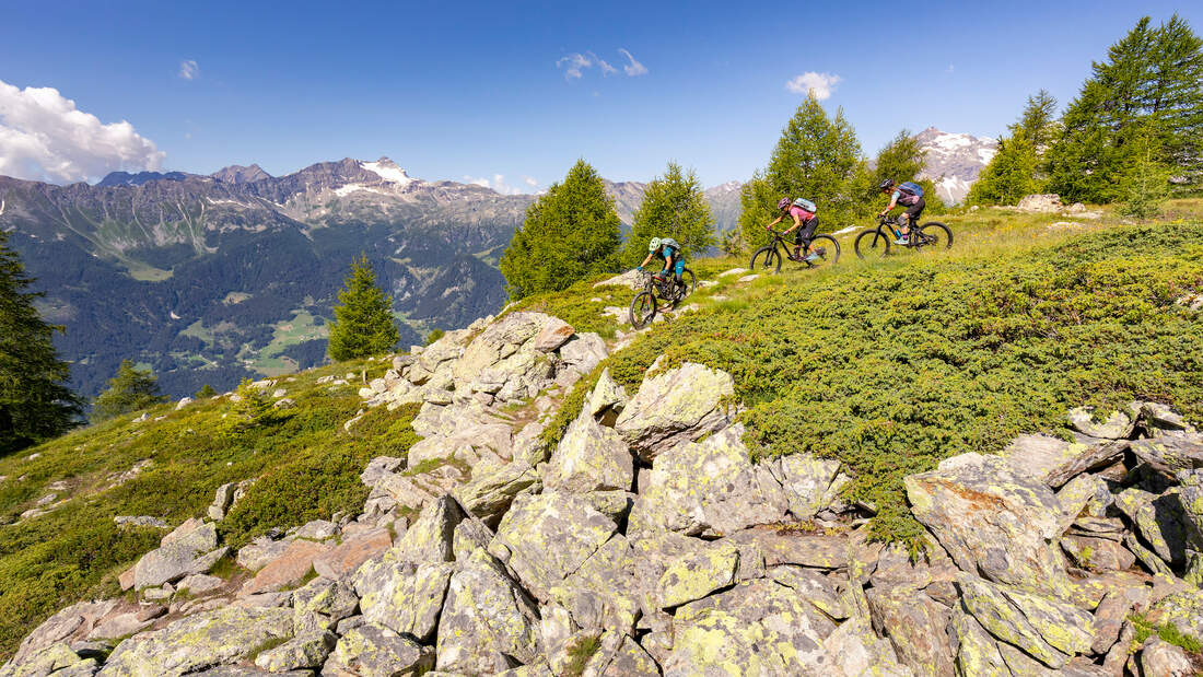 MB Reise Traulguide Valposchiavo