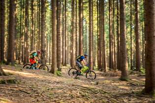 MTB-Touren im Erzgebirge