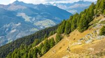 Mb 07/2021: Trailguide Aostatal 