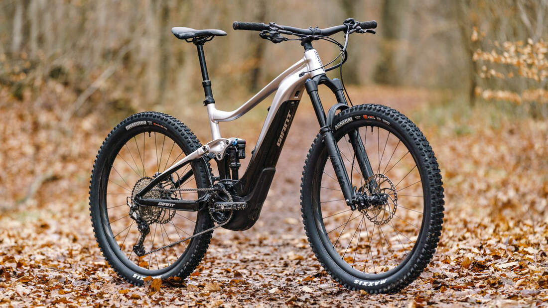 Megatest: 14 E-MTBs: Giant 