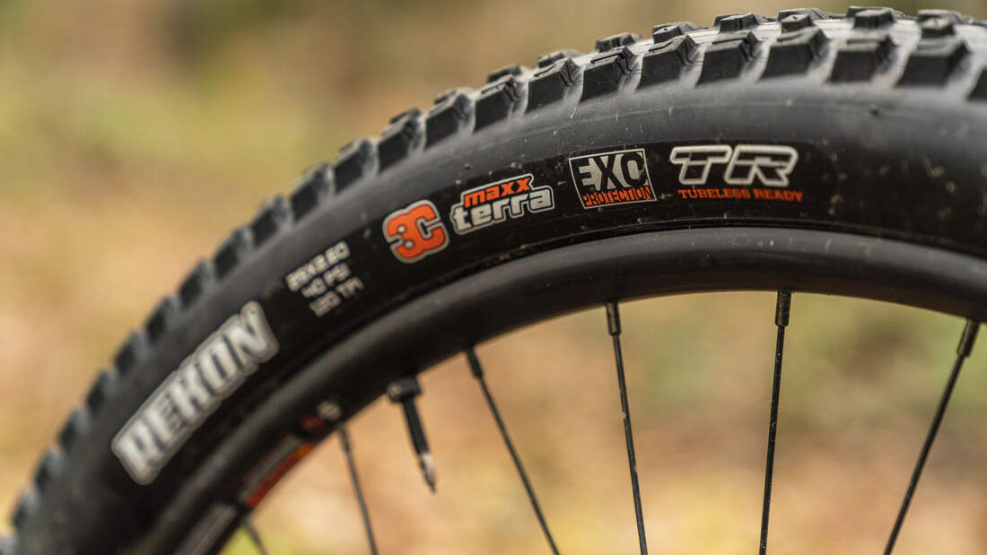 Megatest: 14 E-MTBs Im Test 