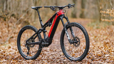 Megatest E-MTBs Rotwild 