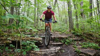 Neues Waldgesetz sorgt für Ärger bei Mountainbikern