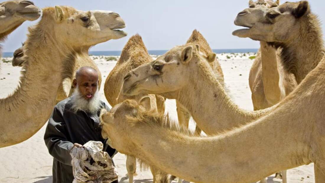 RB 0310 Oman 02