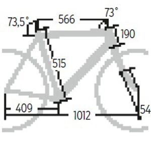 RB-0315-Disc-Rennraeder-Specialized-Roubaix-SL4-Pro-Disc-Race-Geometrie (jpg)