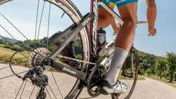 RB 2019 Campagnolo Record 12-fach