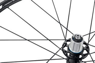 RB Fulcrum 2016 Racing Quattro LG 01 (jpg)