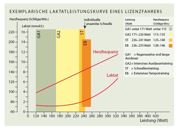 RB Laktat-Stufentest - Grafik