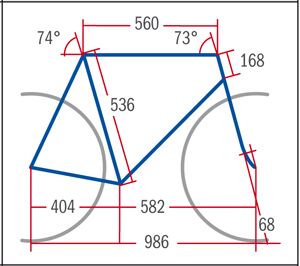 RB Trek Madone 5.9 - Geometrie