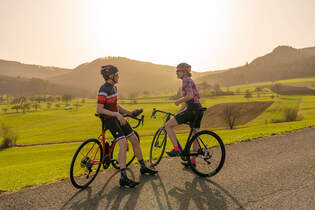 ROADBIKE Endurance-Renner Test 2021
