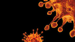 SARS-CoV-2 Coronavirus Variant Omicron B.1.1.529
