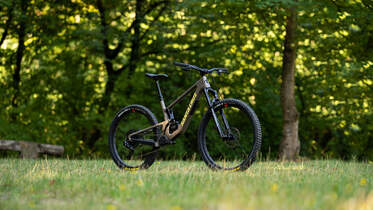 Santa Cruz 5010