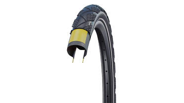 Schwalbe