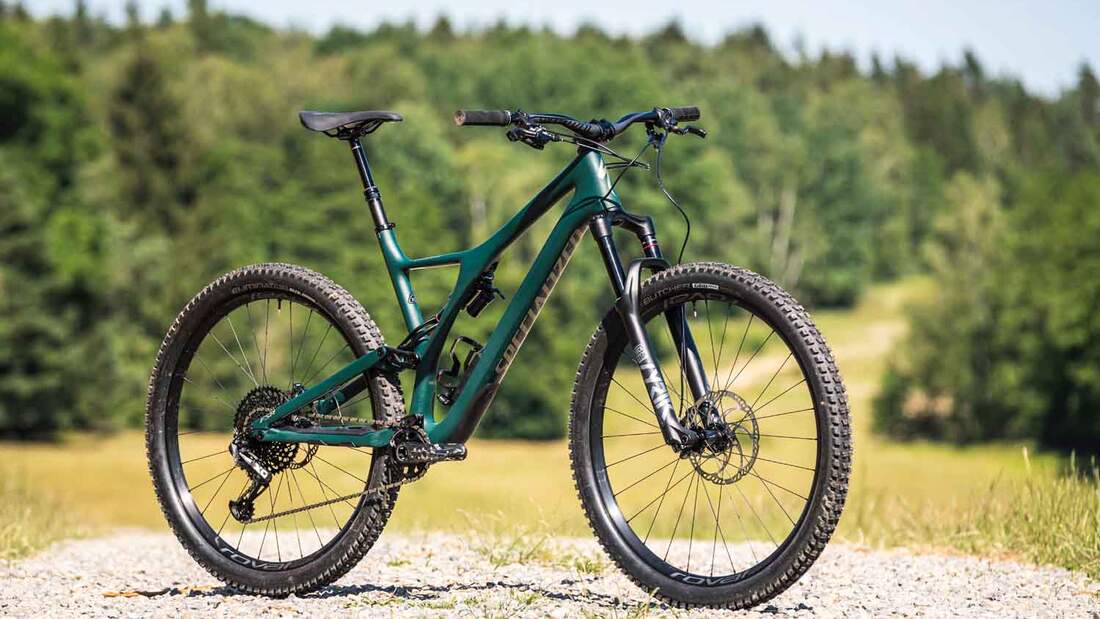 Specialized stumpjumper st best sale ltd downieville carbon 29