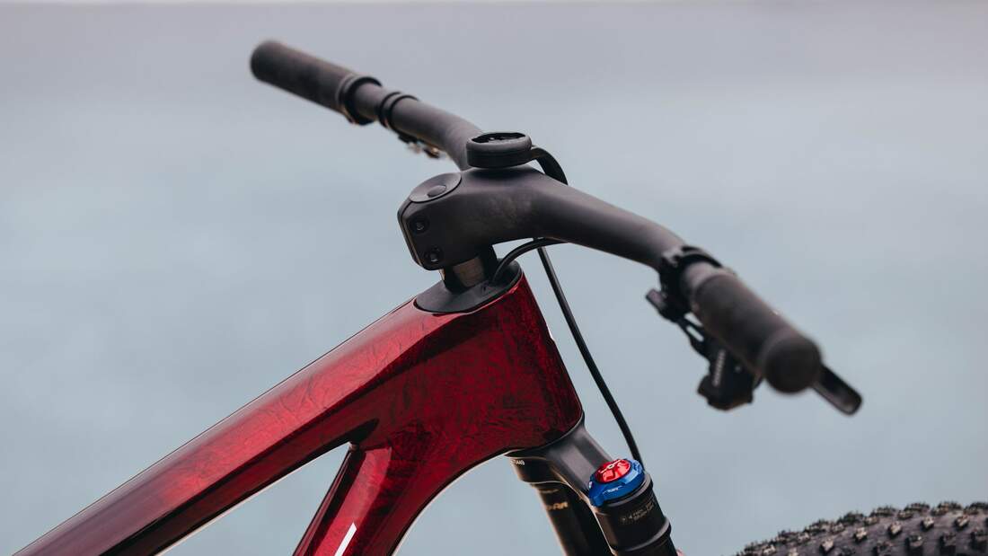 Specialized Epic World Cup I Detail Cockpit 