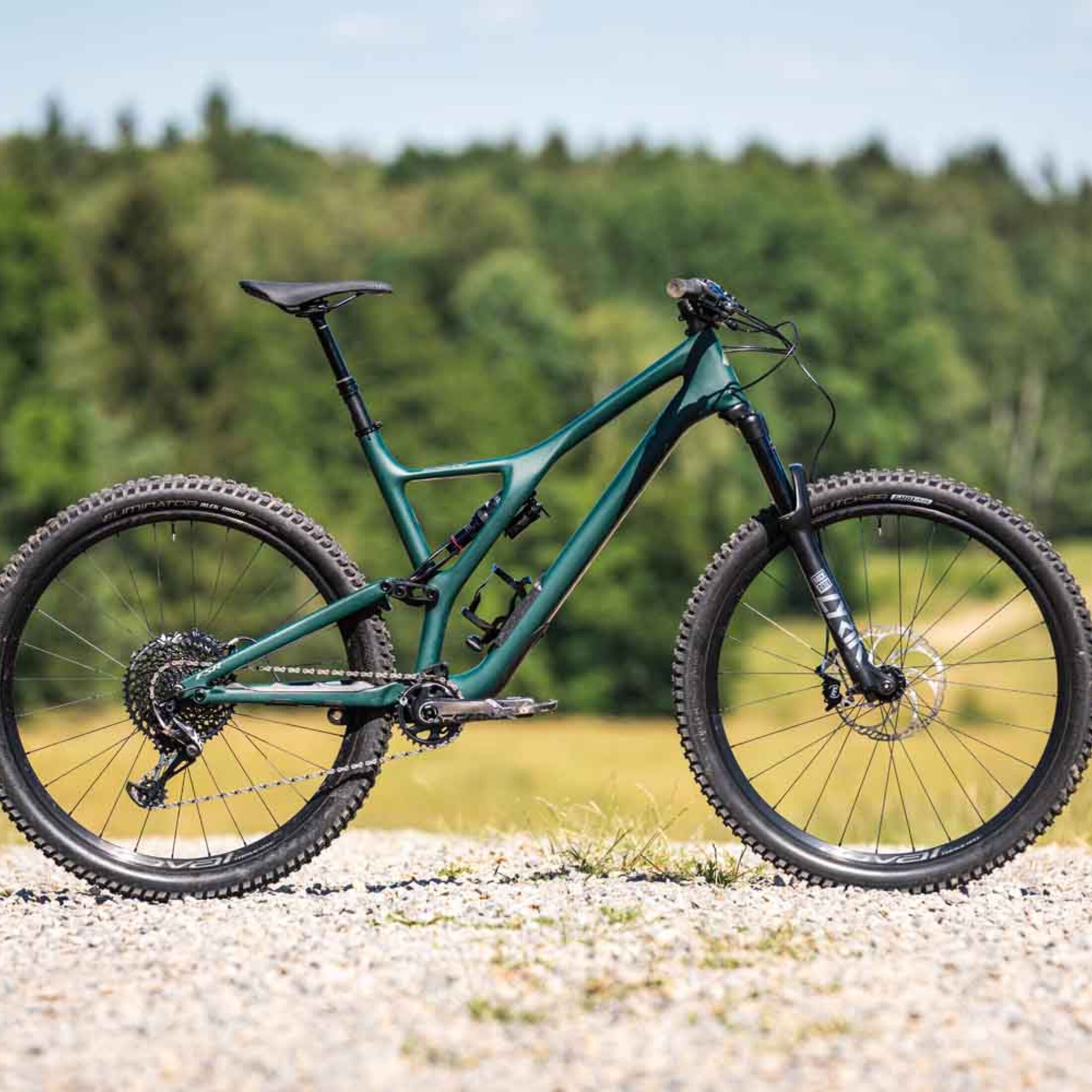 Specialized Stumpjumper ST LTD Downieville Carbon 29 im Test