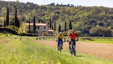 Trailguide Massa Martittima