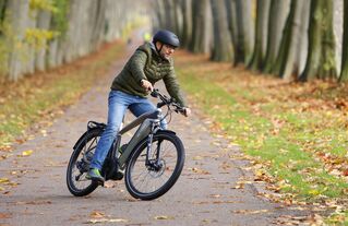 Trekking E-Bike Victoria Fybron 8 Kurvenlage