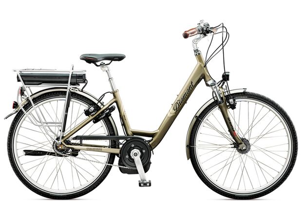 UB-Diamant-Ride-Komfort-Beryll-Bike-Tiefeinsteiger-Nickel-2013 (jpg)